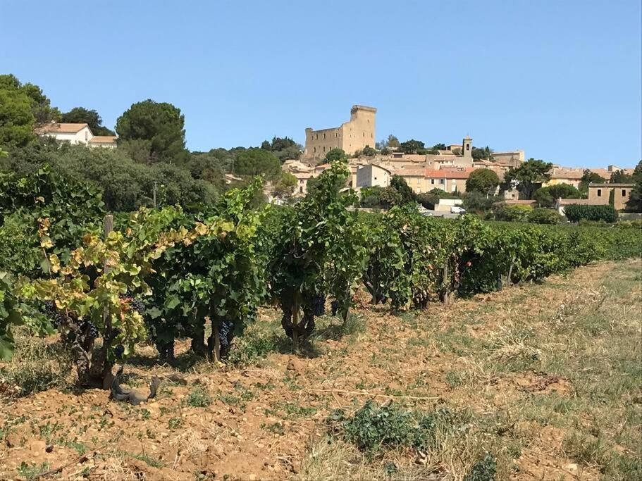 Gites En B&B Le Clos De La Cerise Chateauneuf-du-Pape Exterior photo